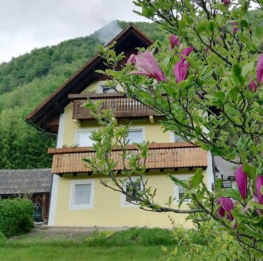 Apartment House Andrej Bohinj Ngoại thất bức ảnh