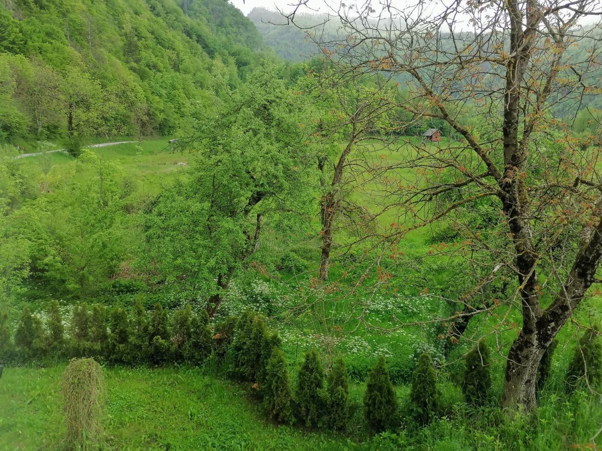 Apartment House Andrej Bohinj Ngoại thất bức ảnh