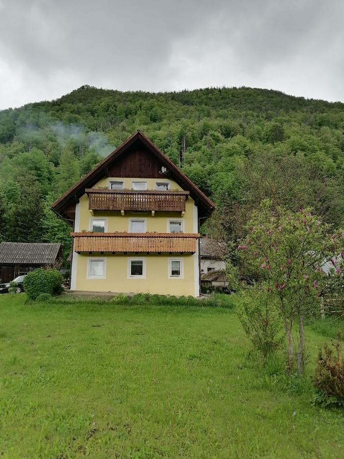 Apartment House Andrej Bohinj Ngoại thất bức ảnh