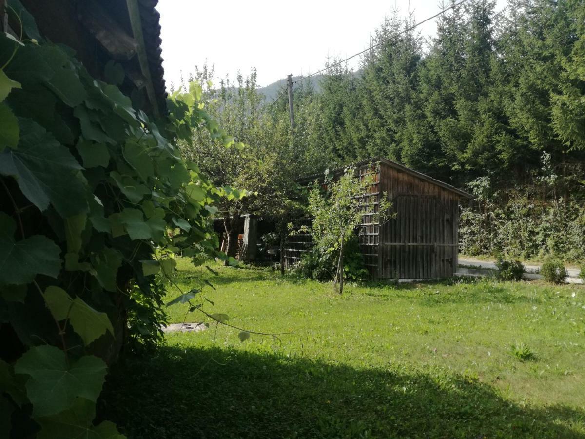 Apartment House Andrej Bohinj Ngoại thất bức ảnh
